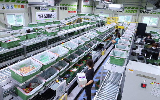 온라인을 통한 식료품 주문이 급증하고 있는 가운데 지난 1일 서울 노원구 롯데마트 중계점에 마련된 온라인 주문상품 전용 집하장에서 직원들이 상품 배송 작업을 하고 있다.   연합뉴스